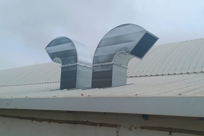 Pig tri-tip picanha chicken salami cow